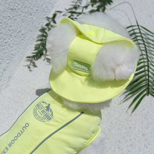 韓國BAILEY💖【梨花娘】夏日必備菌菌掰掰輕薄快乾透氣水陸兩用寵物衣(帽子另購3色)