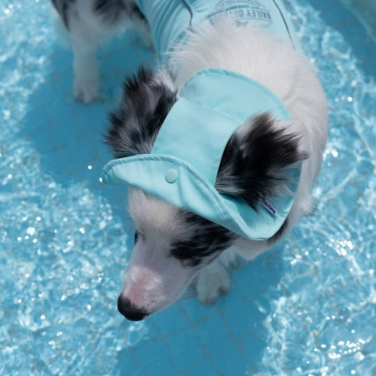 韓國BAILEY💖【梨花娘】夏日必備菌菌掰掰輕薄快乾透氣水陸兩用寵物衣(帽子可另購3色)