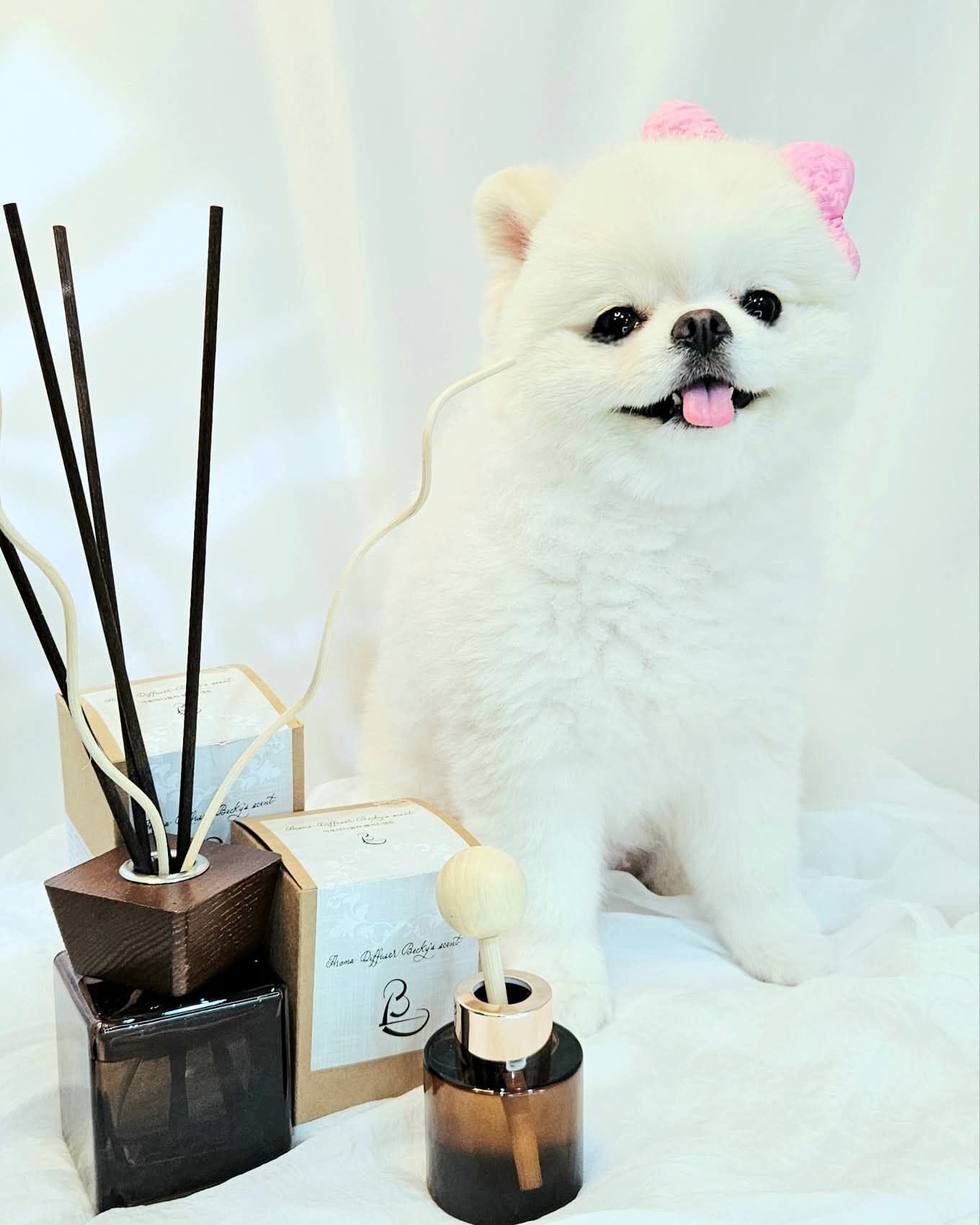 💜新品上架【梨花娘】🫧韓國PUMBLEPET 天然植萃🌿韓國專業國際調香師車用室內擴香瓶100/50ml