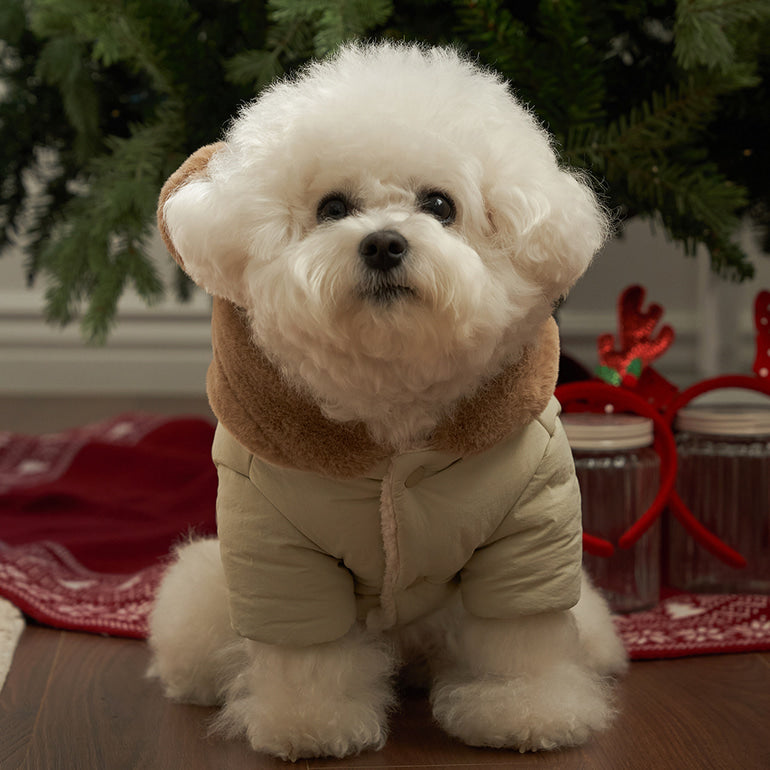 新品上架【梨花娘】🐾BAILEY 🐶秋冬新品 小熊連帽毛球防潑水鋪棉寵物外套(2色) 聖誕禮物