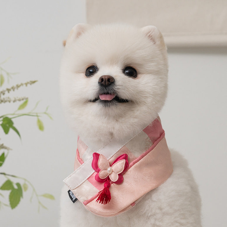 韓國新品上架【梨花娘】🐾BAILEY 🐶秋冬新品 韓國皇室蝴蝶流蘇精緻韓服領巾(4色)