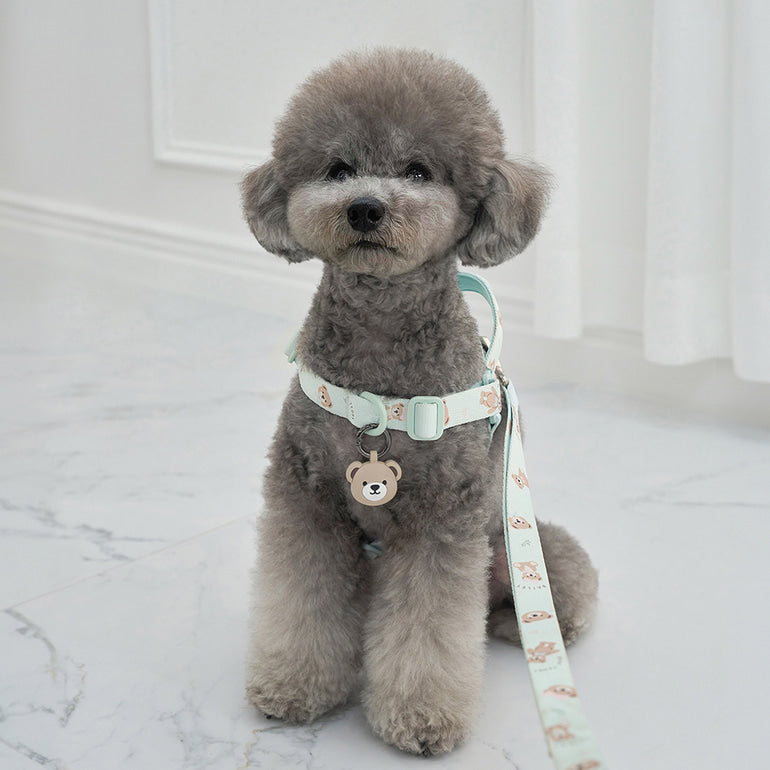 韓國新品上架【梨花娘】🐾BAILEY 🐶秋冬新品 馬卡龍柔軟色系小熊圖案寵物牽繩(3色)