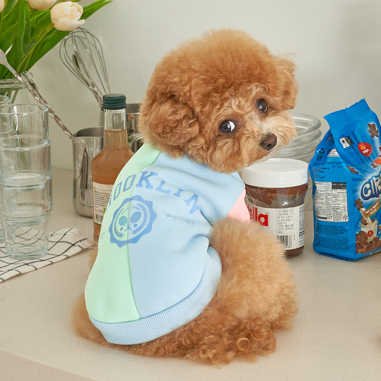 韓國新品上架【梨花娘】🐾BAILEY 🐶秋冬新品 韓系繽紛馬卡龍拼接網球保暖親膚連身衣