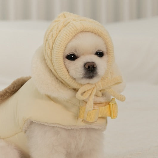 ✈️【梨花娘】韓國BAILEY❄️北歐暖嶼親密主人同款針織鈕釦寵物連帽圍脖(4色)