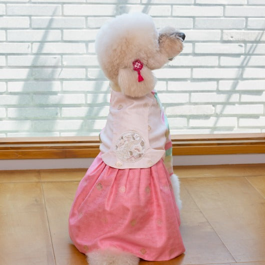 韓國新品上架【梨花娘】🐾BAILEY 🐶秋冬新品 皇室公主刺繡百褶裙寵物韓服(2色)