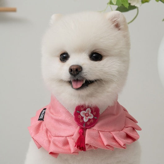 韓國BAILEY💖寵物品牌精緻韓服領巾(現貨+預購)