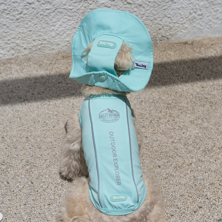 韓國BAILEY💖【梨花娘】夏日必備菌菌掰掰輕薄快乾透氣水陸兩用寵物衣(帽子可另購3色)