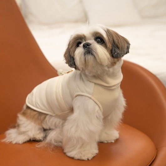 韓國新品上架【梨花娘】🐾BAILEY 🐶秋冬新品 柔軟菌菌拜拜內襯防潑水高領設計保暖寵物服飾(3色)