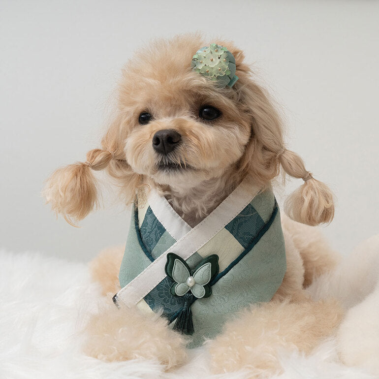 韓國新品上架【梨花娘】🐾BAILEY 🐶韓系華麗宮庭風珍珠流蘇寵物髮夾(9色)