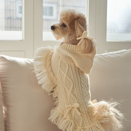 韓國【梨花娘】🐾BAILEY 🐶秋冬新品 針織毛線斗篷連帽蝴蝶結保暖寵物毛衣(2色)