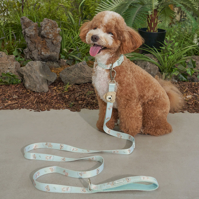 韓國新品上架【梨花娘】🐾BAILEY 🐶秋冬新品 馬卡龍柔軟色系小熊圖案寵物牽繩(3色)