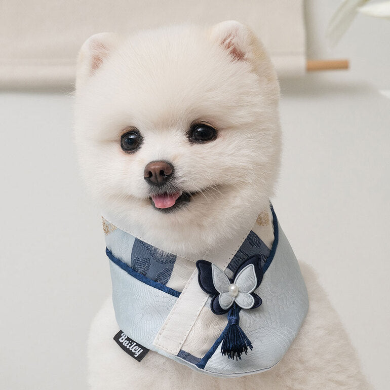 韓國新品上架【梨花娘】🐾BAILEY 🐶秋冬新品 韓國皇室蝴蝶流蘇精緻韓服領巾(4色)