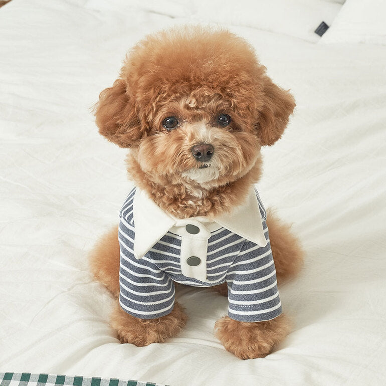 韓國新品上架【梨花娘】🐾BAILEY 🐶秋冬新品 條紋翻領柔棉立體徽章刺繡寵物服飾(3色)