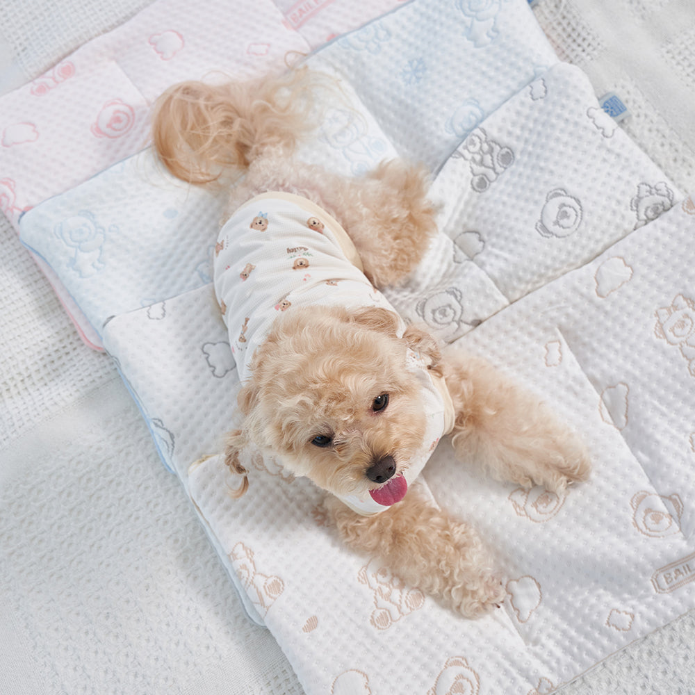 💕【梨花娘總代理】🐾韓國BAILEY ❄️夏日寵物極致降溫冰涼雪花泰迪熊圖案附冰涼袋收納墊(4色)