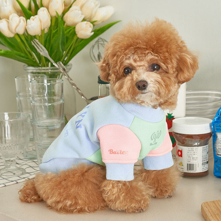 韓國新品上架【梨花娘】🐾BAILEY 🐶秋冬新品 韓系繽紛馬卡龍拼接網球保暖親膚連身衣