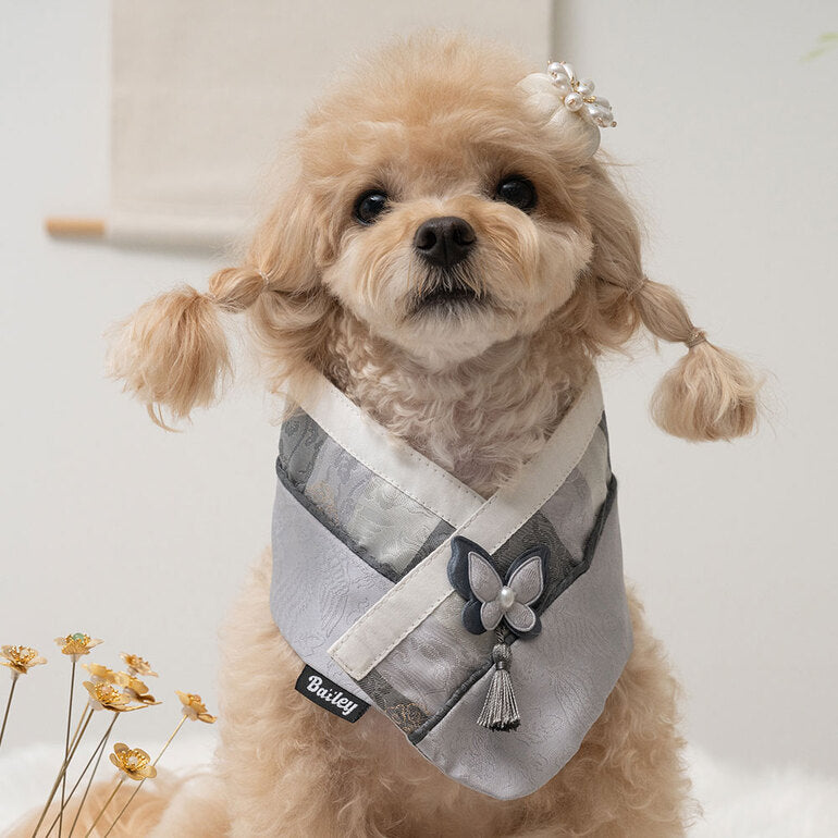 韓國新品上架【梨花娘】🐾BAILEY 🐶秋冬新品 韓國皇室蝴蝶流蘇精緻韓服領巾(4色)