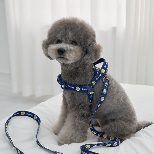 韓國新品上架【梨花娘】🐾BAILEY 🐶秋冬新品 飽合亮色花朵微笑寵物項圈(4色)