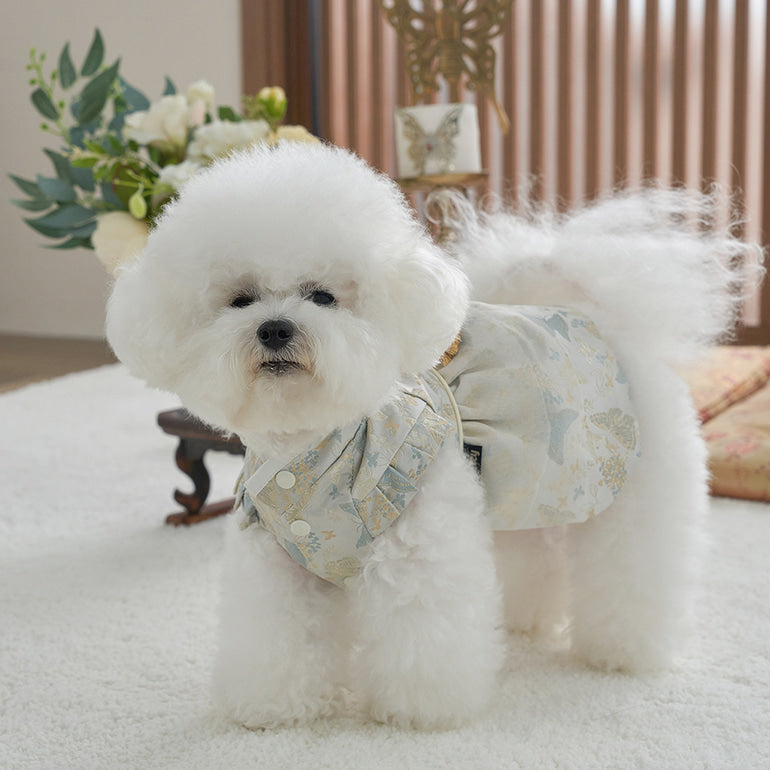 韓國新品上架【梨花娘】🐾BAILEY 🐶秋冬新品 新年編織結掛香包寶貝寵物韓服(2色)