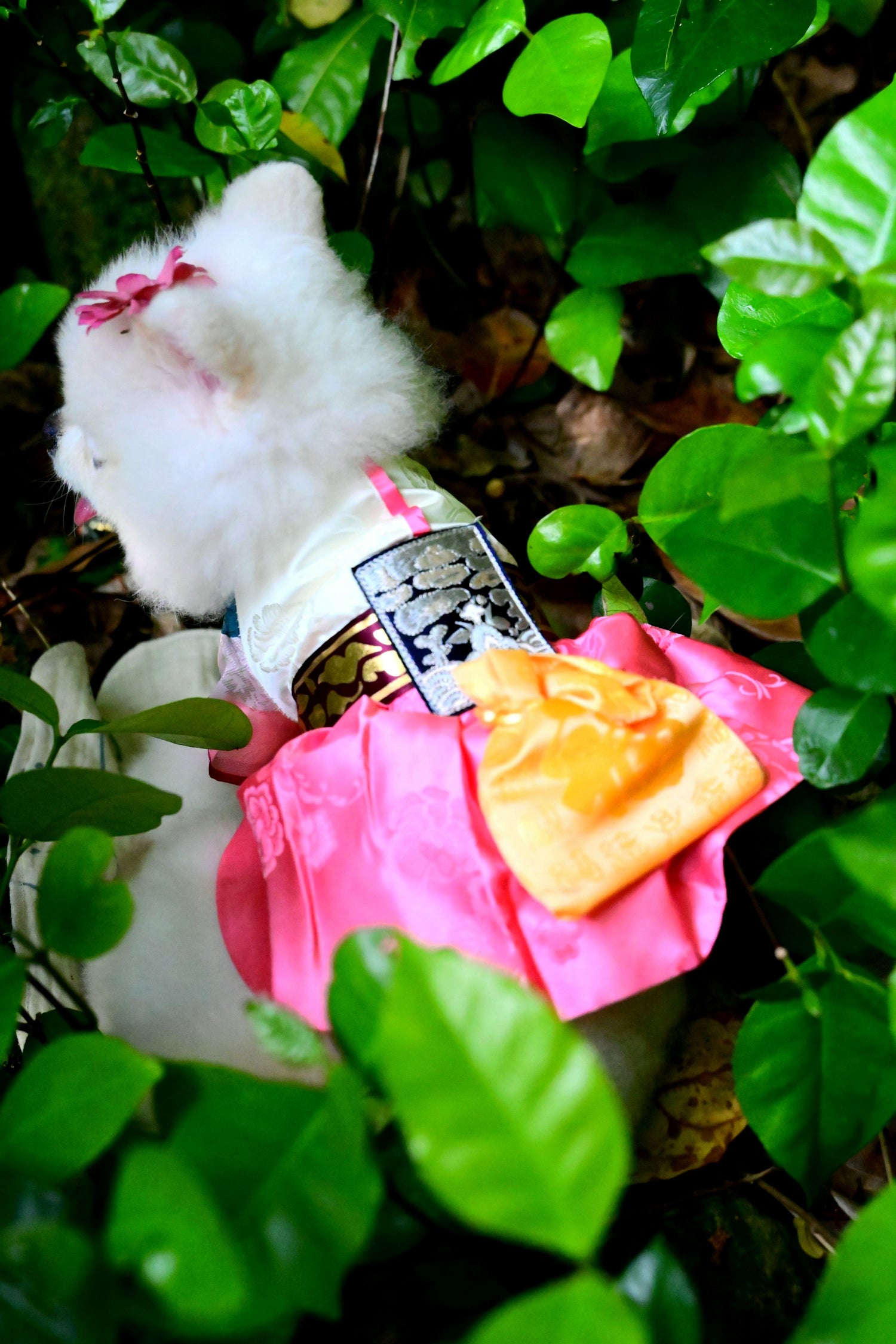 韓國BAILEY💖寵物品牌皇室韓服寵物刺繡衣服(現貨+預購)