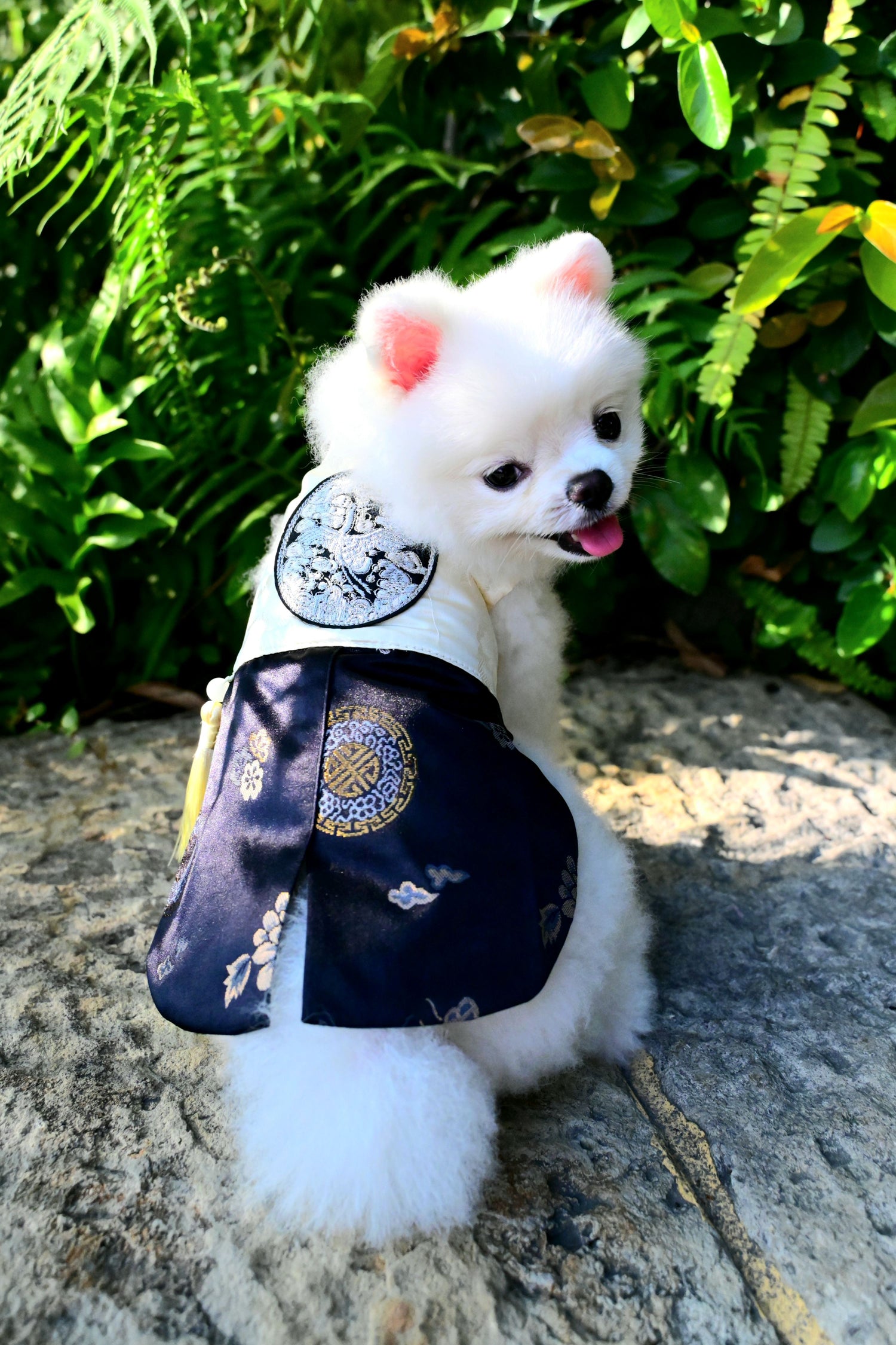 韓國BAILEY💖寵物品牌皇室韓服寵物刺繡衣服(現貨+預購)