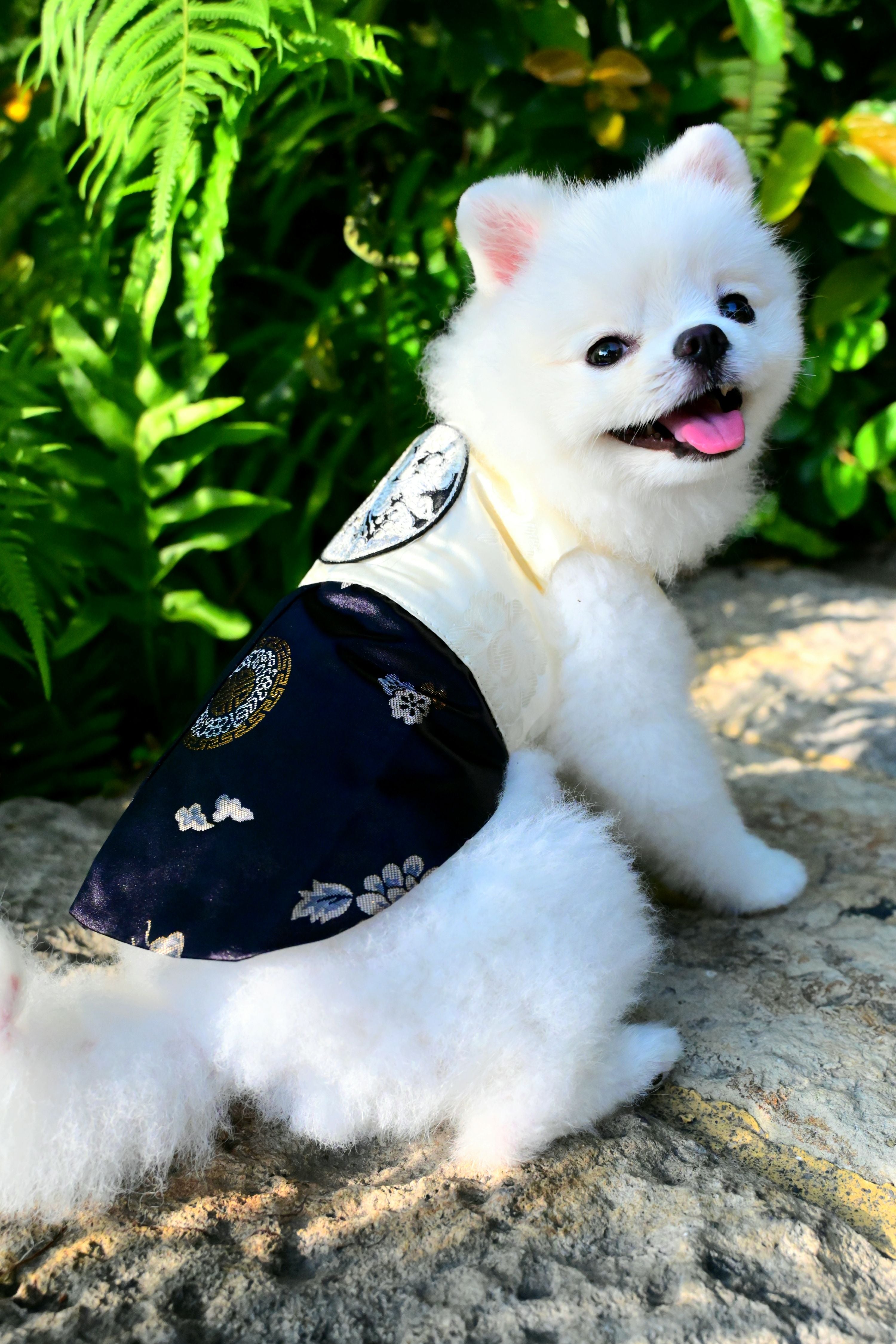 韓國BAILEY💖寵物品牌皇室韓服寵物刺繡衣服(現貨+預購)