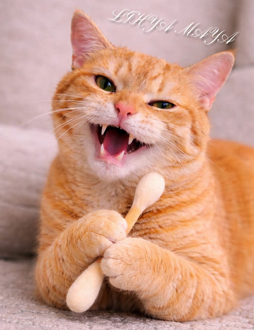 韓國🔥爆紅升級版【LIHUA MAYA】獨家販售 雙種貓薄荷巨型棉花棒|100%羊毛手工製作 貓咪玩具