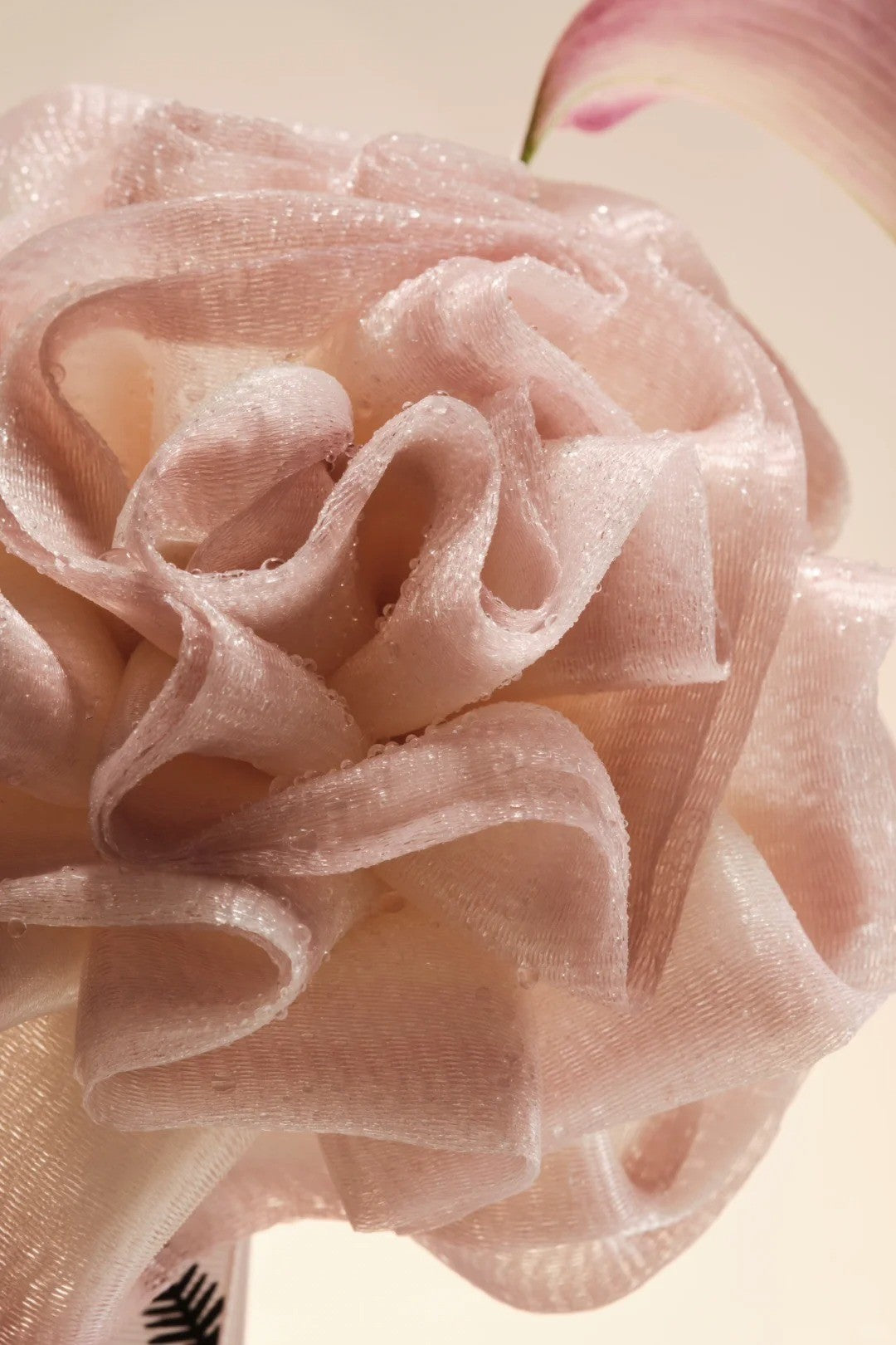 美國 Krramel 玫瑰雙色玫瑰泡澡高檔浴球 (現貨+預購)