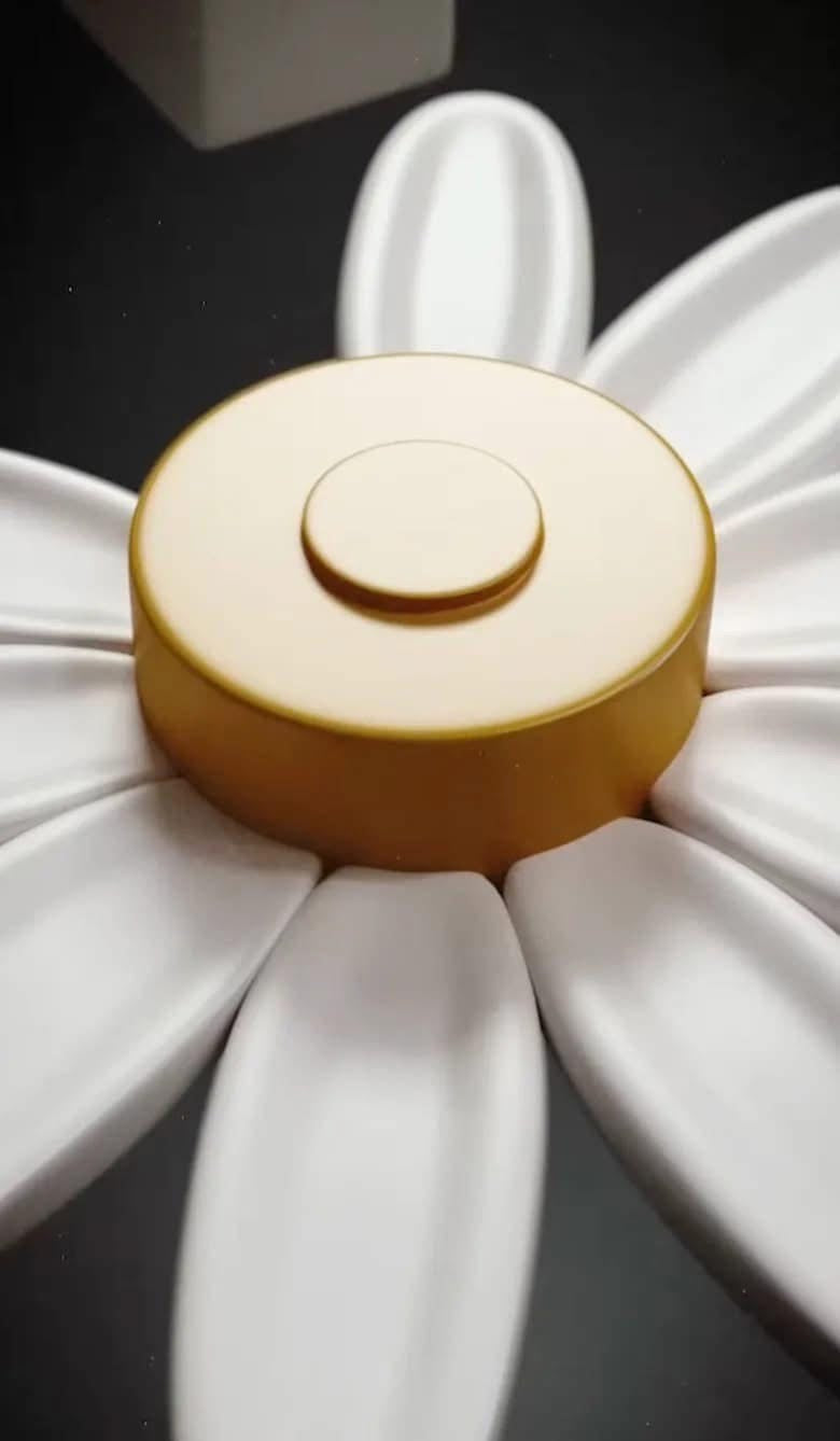 新品上架 【梨花娘】💖G-DRAGON × OXFORD BLOCK 818 BLOOM 聯名 限量雛菊樂高積木 權志龍 GD💖正版