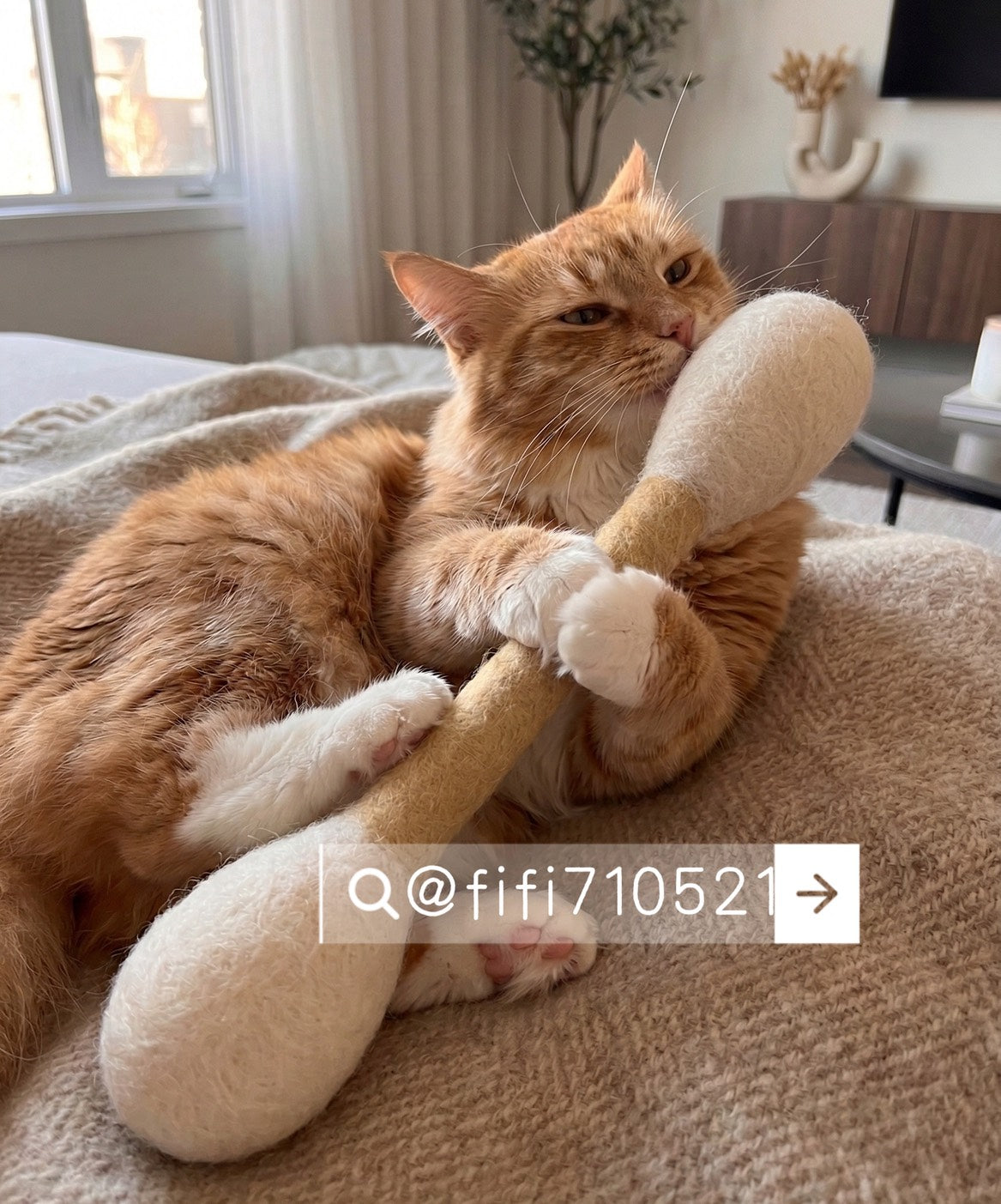 韓國🔥爆紅升級版【LIHUA MAYA】獨家販售 雙種貓薄荷巨型棉花棒|100%羊毛手工製作 貓咪玩具