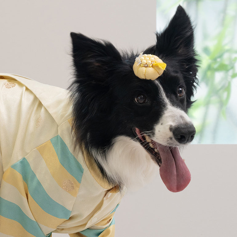 韓國新品上架【梨花娘】🐾BAILEY 🐶韓系華麗宮庭風珍珠流蘇寵物髮夾(9色)