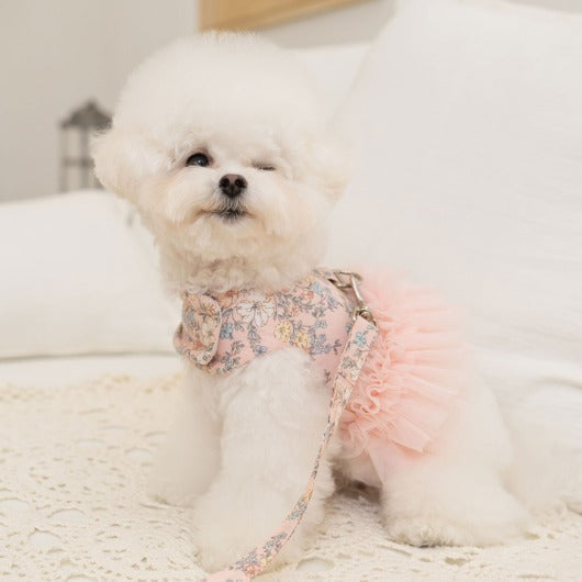 韓國新品上架【梨花娘】🐾BAILEY 🐶秋冬新品 溫柔蕾絲荷葉邊花朵復古可愛寵物服飾(2色)