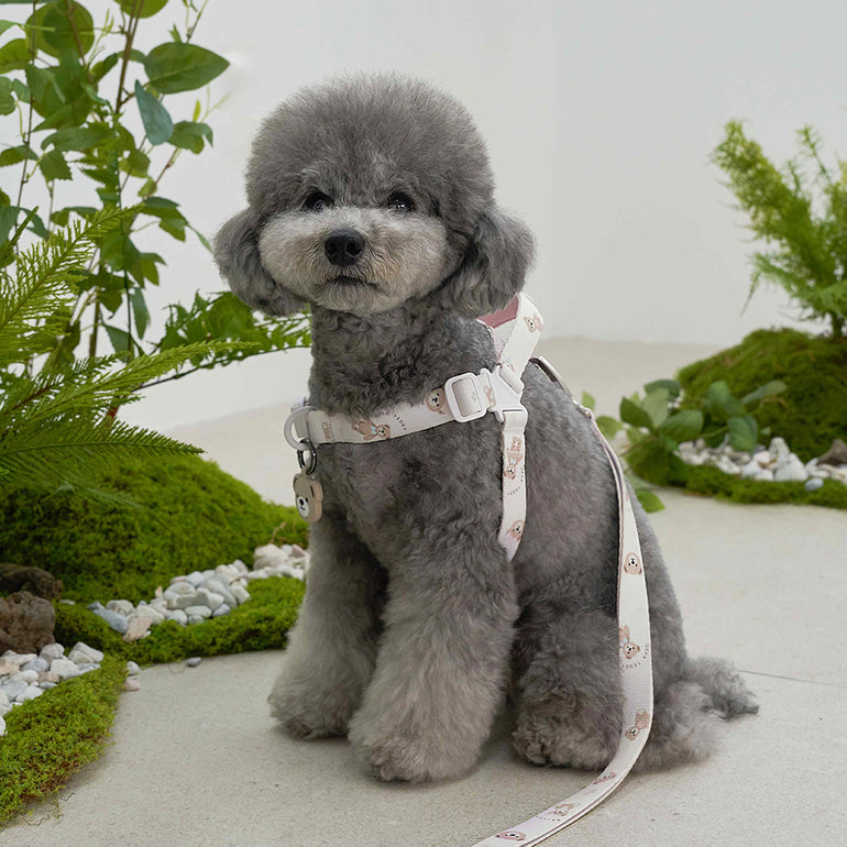 韓國新品上架【梨花娘】🐾BAILEY 🐶秋冬新品 馬卡龍柔軟色系小熊圖案寵物項圈(3色)