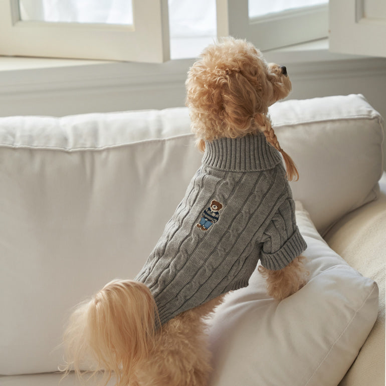 韓國新品上架【梨花娘】🐾BAILEY 🐶秋冬新品 小熊刺繡保暖舒適針織寵物毛衣(5色)