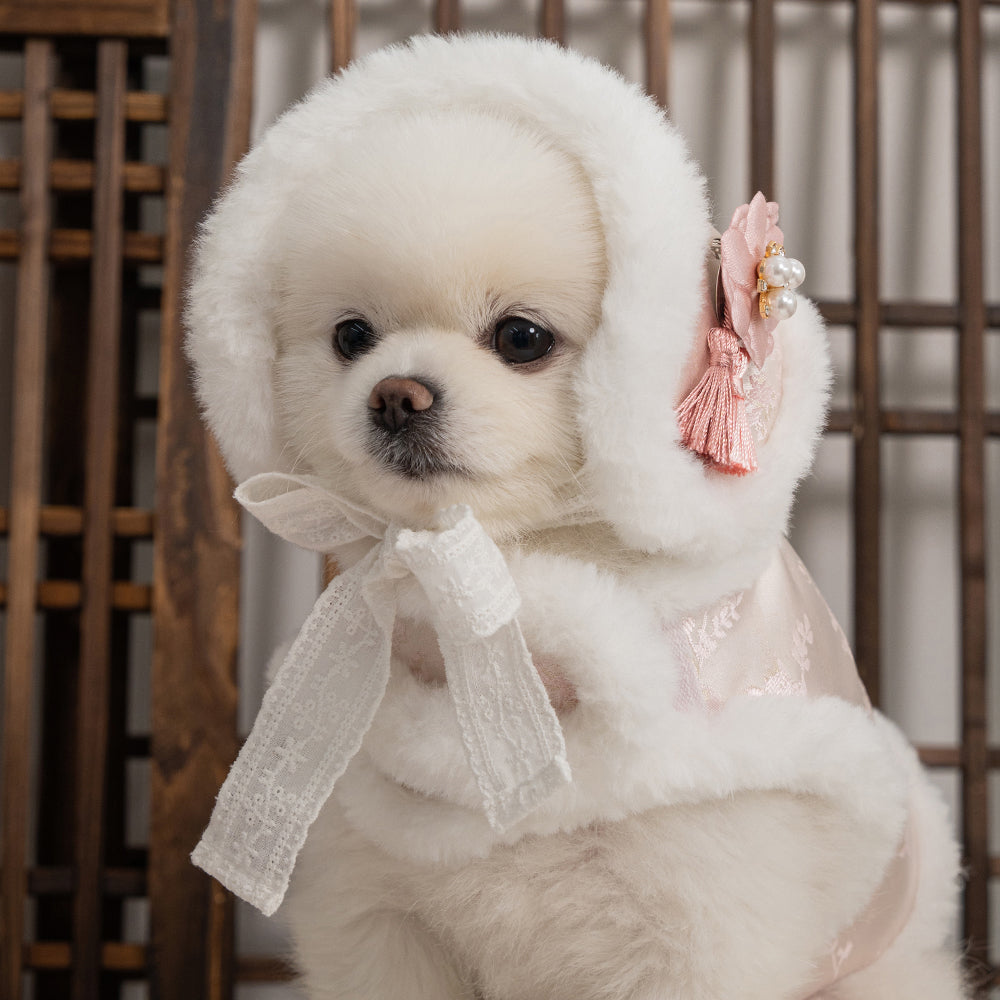 【梨花娘】🐾BAILEY 🐶韓國雪花保暖鋪棉寵物宮廷刺繡棉背心(可另購耳罩(3色))