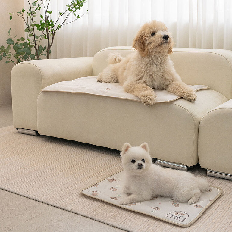 韓國BAILEY💖【梨花娘】夏日必備涼爽親膚降溫舒適防水滿版小熊寵物冰涼墊(3尺寸)