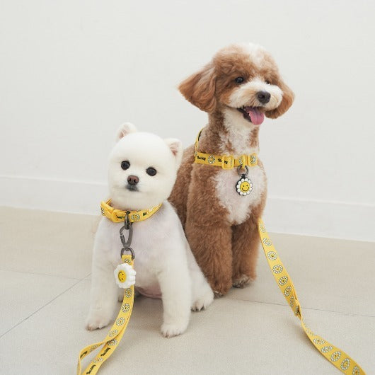 韓國新品上架【梨花娘】🐾BAILEY 🐶秋冬新品 飽合亮色花朵微笑寵物牽繩(4色)