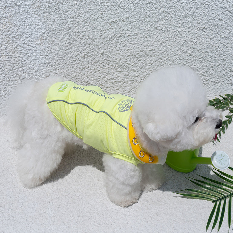 韓國BAILEY💖【梨花娘】夏日必備菌菌掰掰輕薄快乾透氣水陸兩用寵物衣(帽子另購3色)