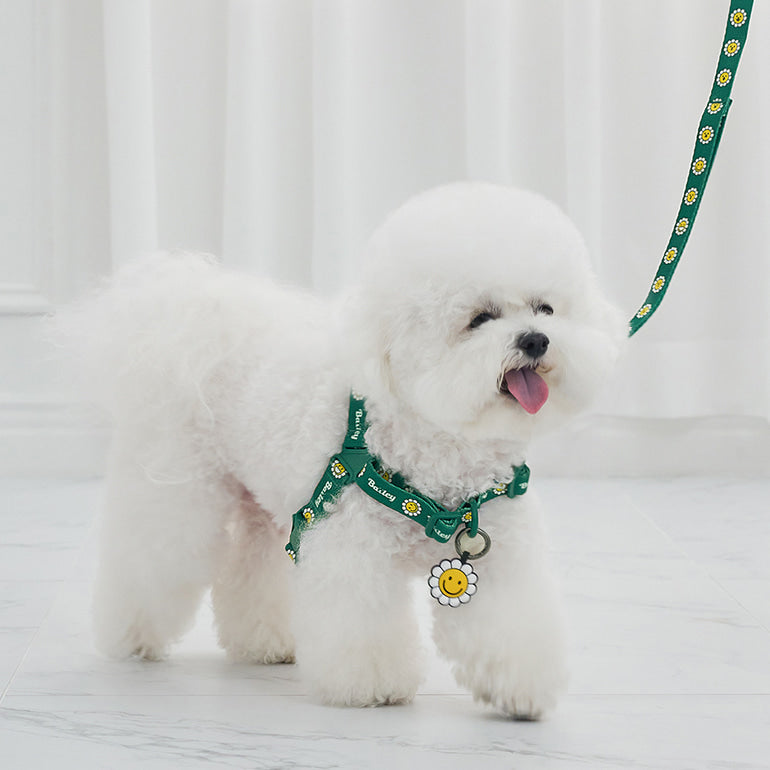 韓國新品上架【梨花娘】🐾BAILEY 🐶秋冬新品 飽合亮色花朵微笑寵物項圈(4色)