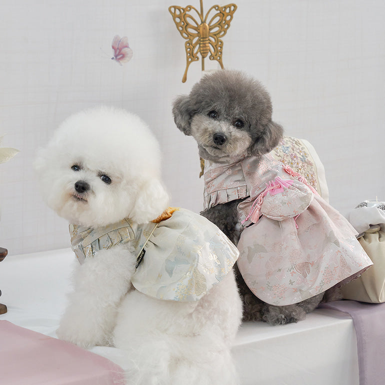 韓國新品上架【梨花娘】🐾BAILEY 🐶秋冬新品 新年編織結掛香包寶貝寵物韓服(2色)