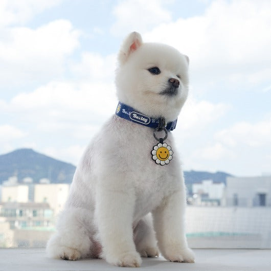 韓國新品上架【梨花娘】🐾BAILEY 🐶秋冬新品 飽合亮色花朵微笑簡易款寵物項圈(4色)