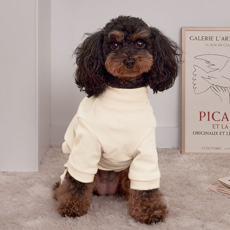 韓國新品上架【梨花娘】🐾BAILEY 🐶秋冬新品 素色半高領彈性舒適柔軟寵物服飾(2色)