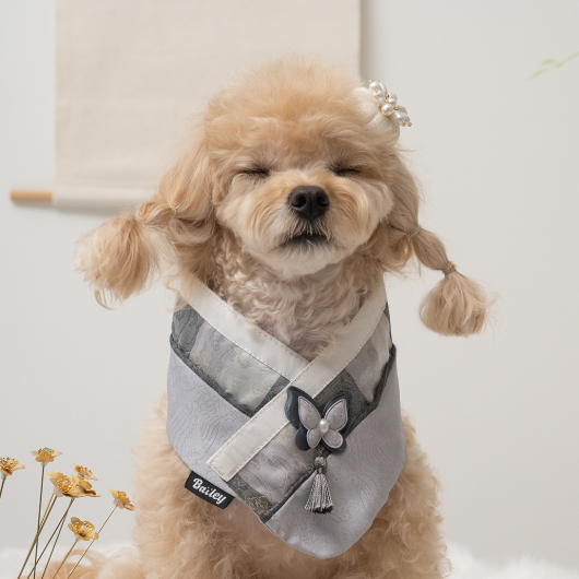 韓國新品上架【梨花娘】🐾BAILEY 🐶秋冬新品 韓國皇室蝴蝶流蘇精緻韓服領巾(4色)