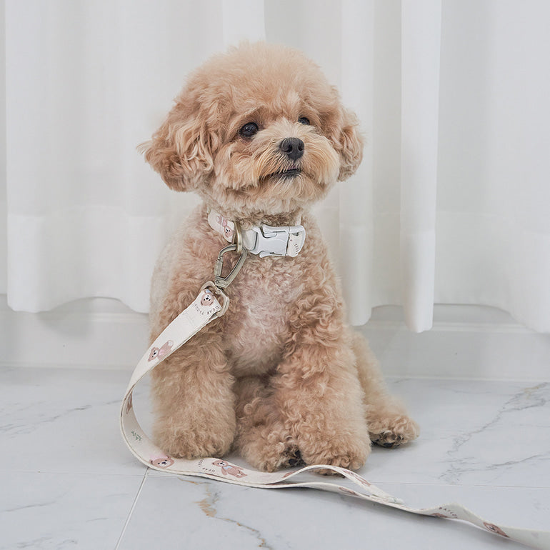 韓國新品上架【梨花娘】🐾BAILEY 🐶秋冬新品 馬卡龍柔軟色系小熊圖案寵物牽繩(3色)