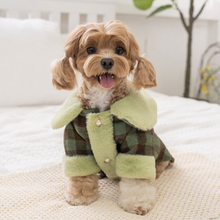 韓國新品上架【梨花娘】🐾BAILEY 🐶秋冬新品 格子翻領珍珠鈕釦保暖寵物毛衣(2色)