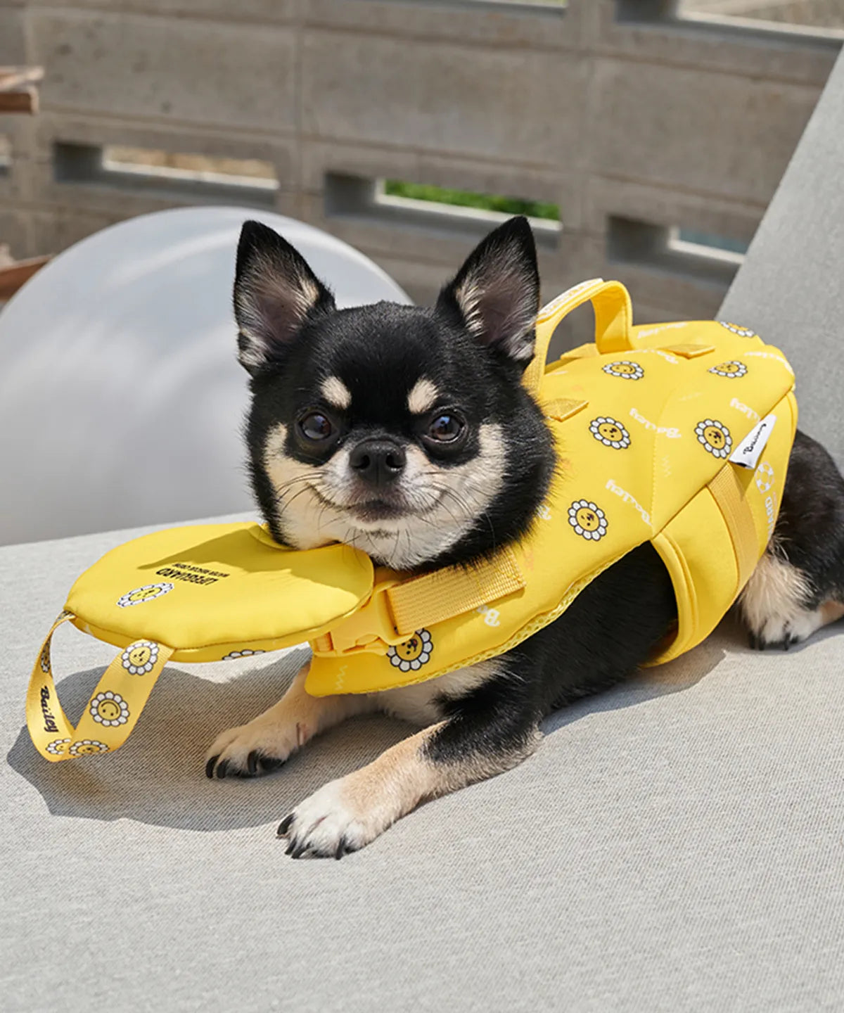 韓國新品上架【梨花娘總代理】🐾BAILEY 🐶夏日高浮力清涼透氣笑臉花朵寵物救生漂浮泳衣(4色)
