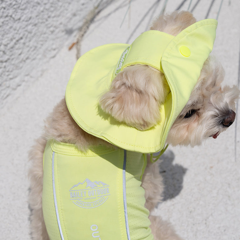 韓國BAILEY💖【梨花娘】夏日必備菌菌掰掰輕薄快乾透氣水陸兩用寵物衣(帽子另購3色)