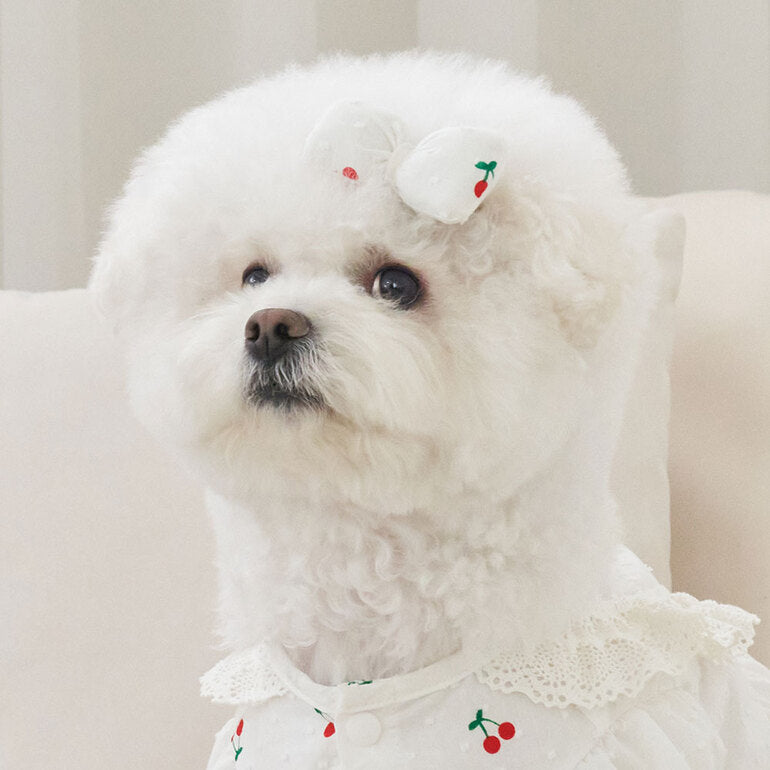 韓國新品上架【梨花娘】🐾BAILEY 🐶韓系甜美可愛蝴蝶結鍛帶寵物髮夾(7色)