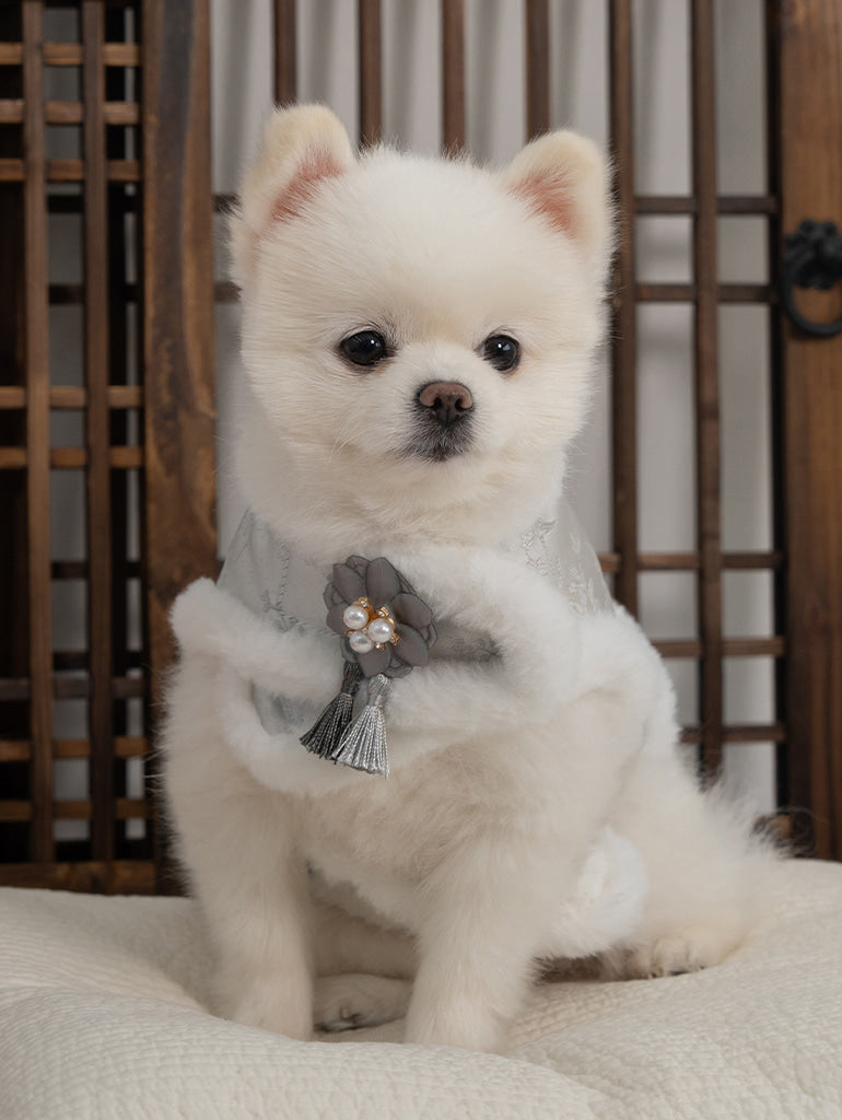 【梨花娘】🐾BAILEY 🐶韓國雪花保暖鋪棉寵物宮廷刺繡棉背心(可另購耳罩(3色))