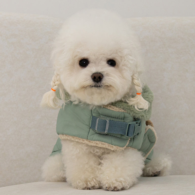 🔥新品上架【梨花娘】🐈⬛BAILEY 【梨花娘】泰迪熊口袋圖案防風鋪棉寵物服飾(4色) 寶貝禮物