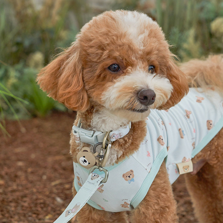 韓國新品上架【梨花娘】🐾BAILEY 🐶秋冬新品 馬卡龍柔軟色系小熊圖案簡易款寵物牽繩(3色)